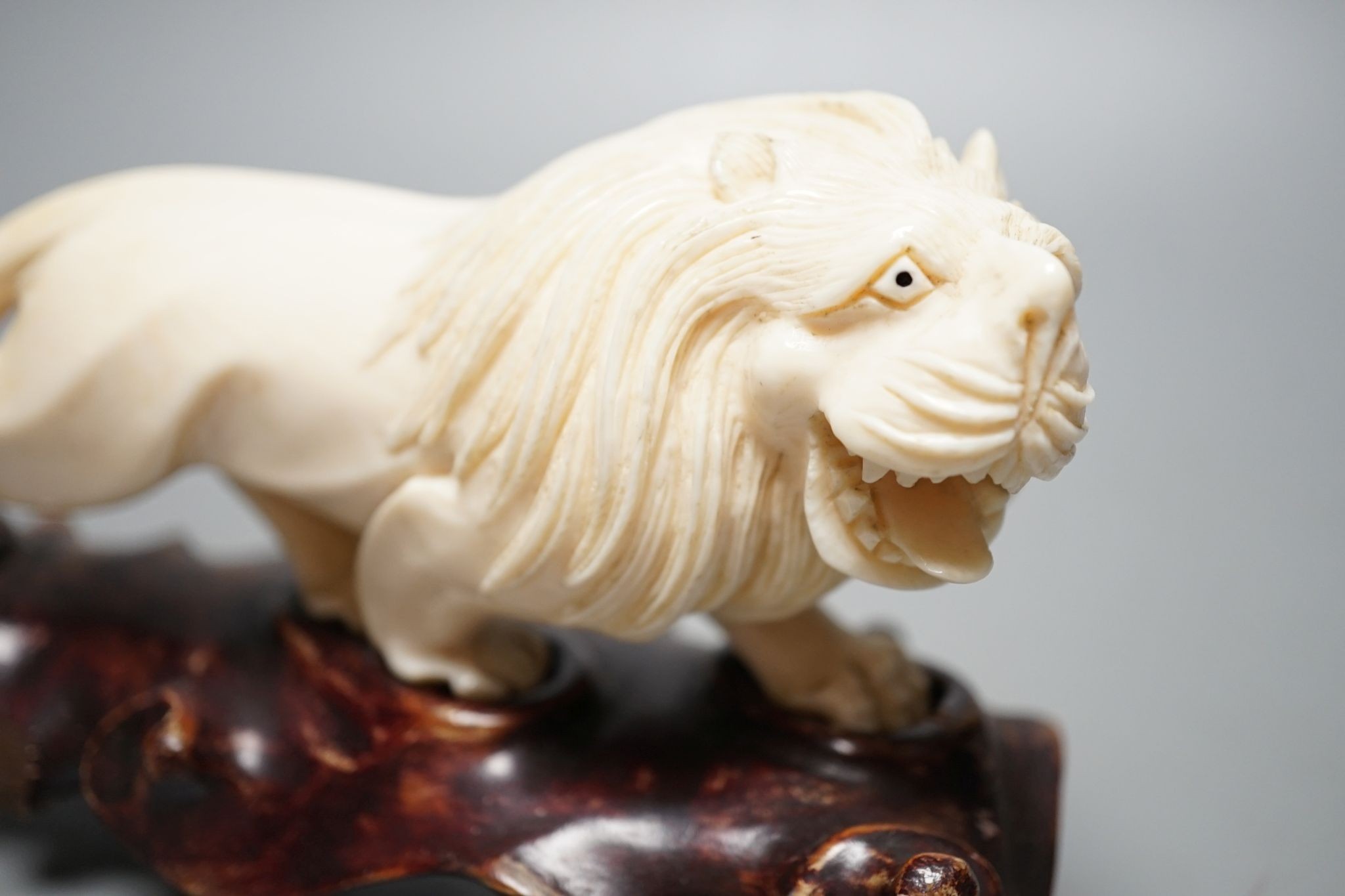 A Chinese ivory figure of a lion, on wooden stand, early 20th century, stand 20 cms wide.
